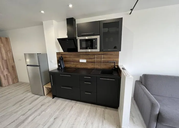 Appartement 4 Couchages Cap D'agde Naturisme Cn060-e69 Agde